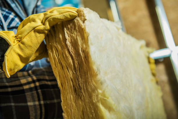 Best Eco-Friendly Insulation in Lodi, CA