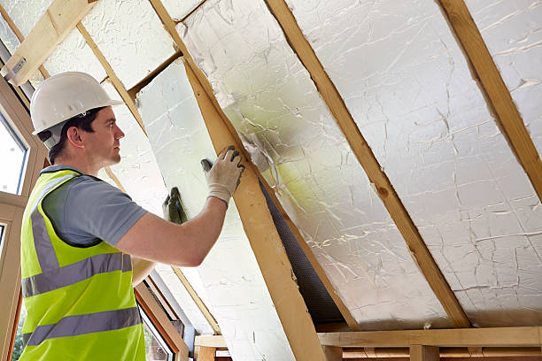 Types of Insulation We Offer in Lodi, CA